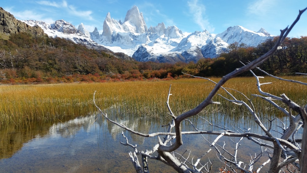 landscape photography of body of water viewing mountain under blue and white sky