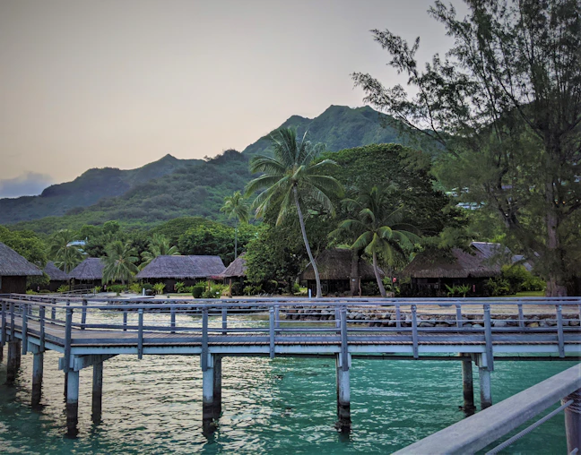 Moorea 5-Day Luxury Itinerary | Premium Travel Guide