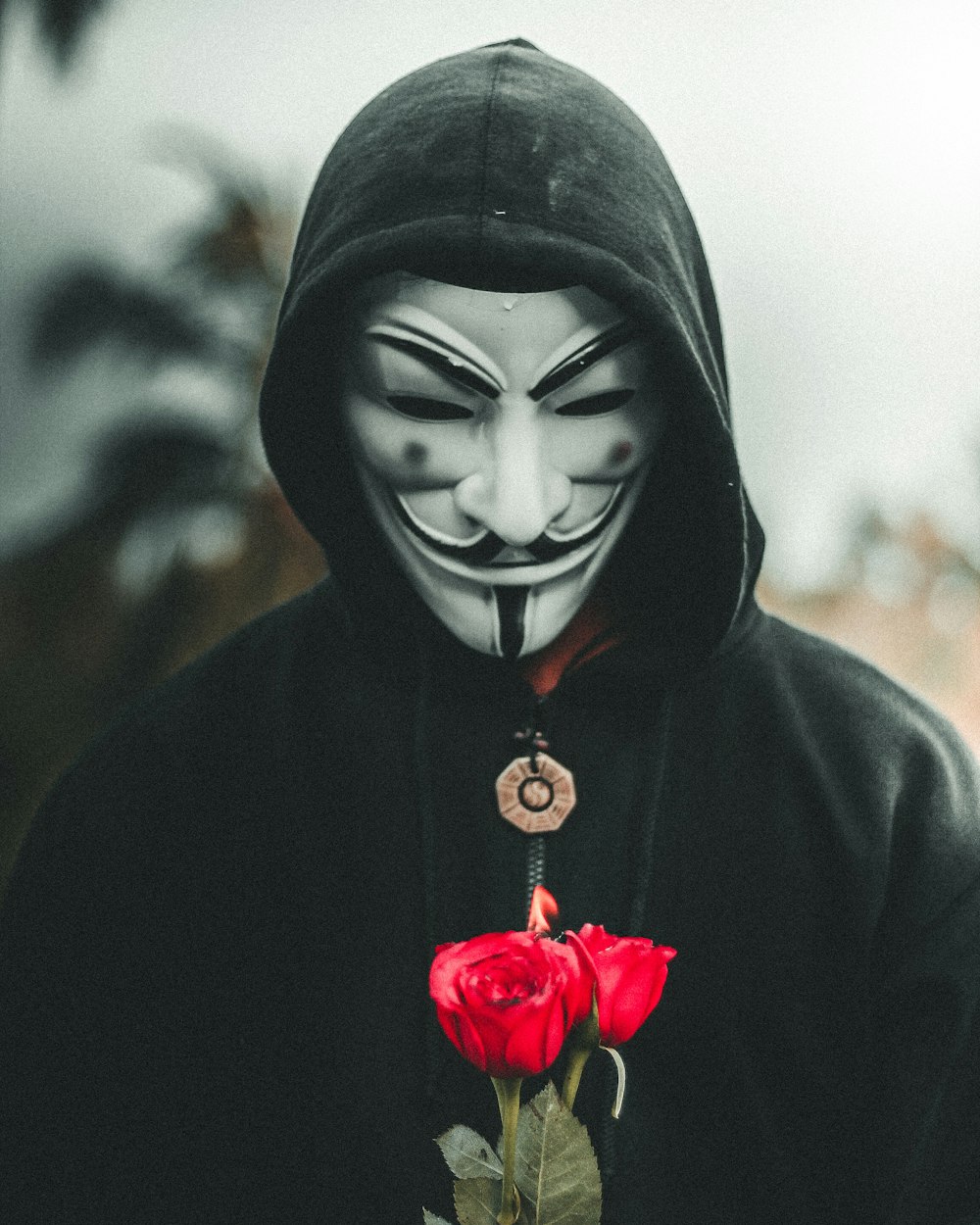 man wearing guy fawkes mask