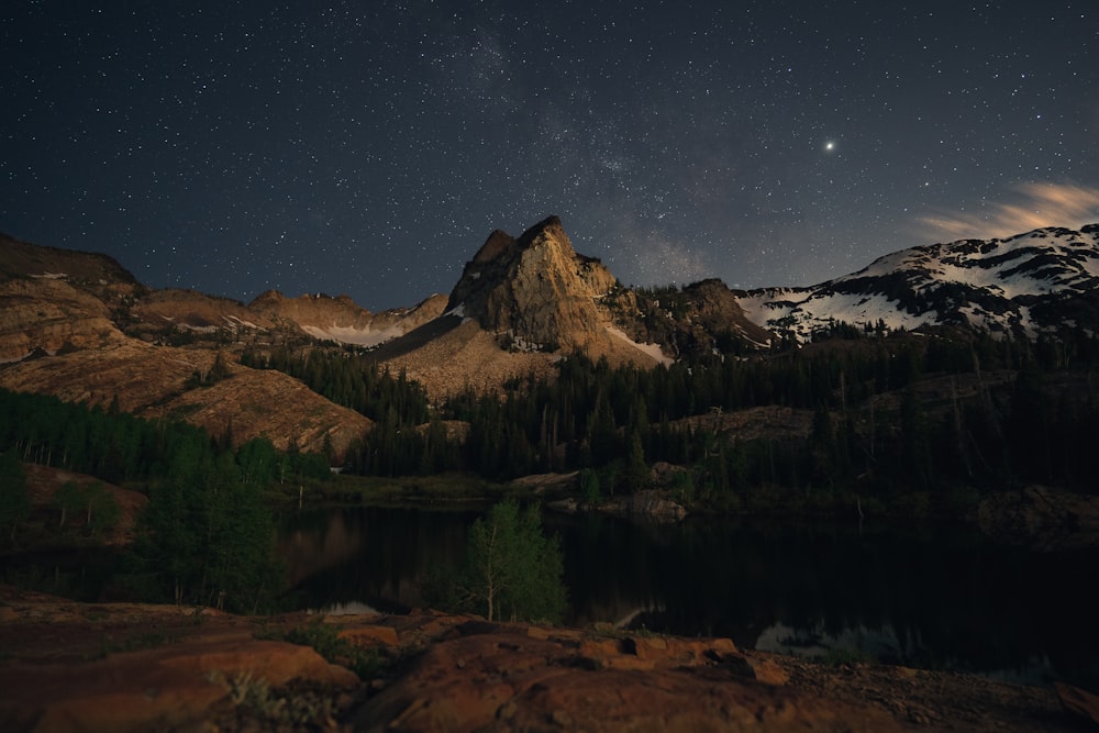 trees, lake, and mountain at night