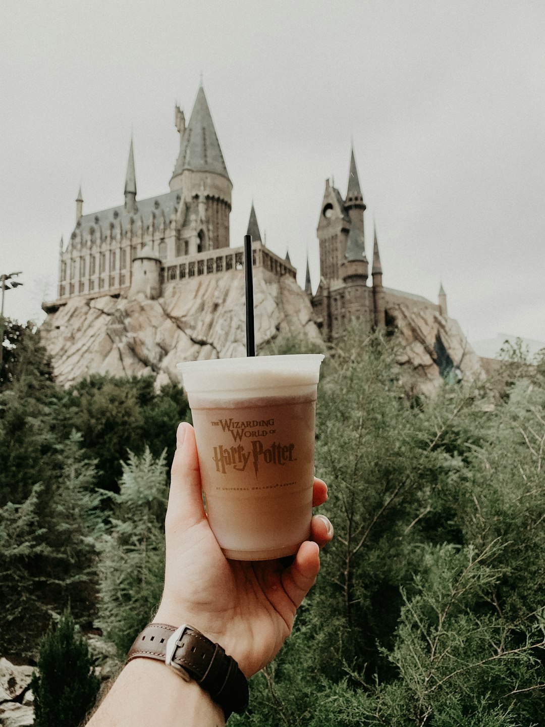 person holding Harry Potter drink cup in front of castle