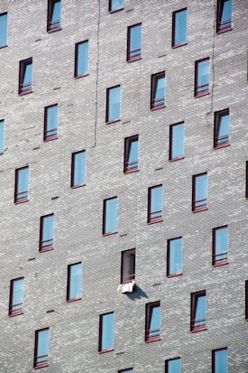 A grid of numerous identical windows on the side of a gray brick building, with one window partially open and a white cloth hanging from it. The window frames are highlighted with a red trim.
