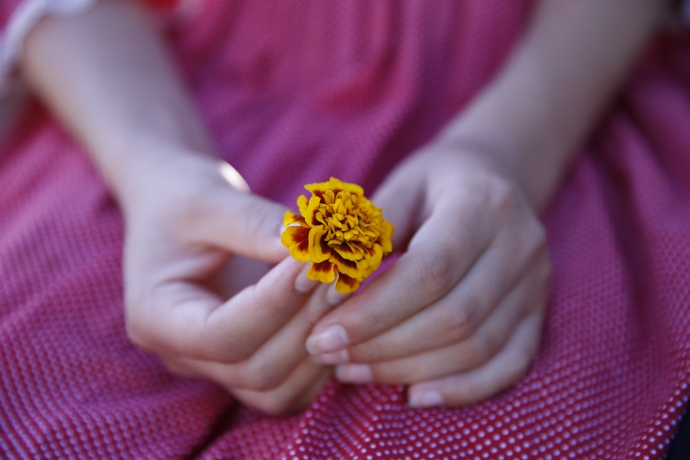 person holding a yellow and red-petaled flower