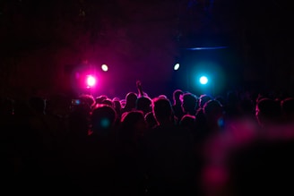 silhouette photography of crowd of people