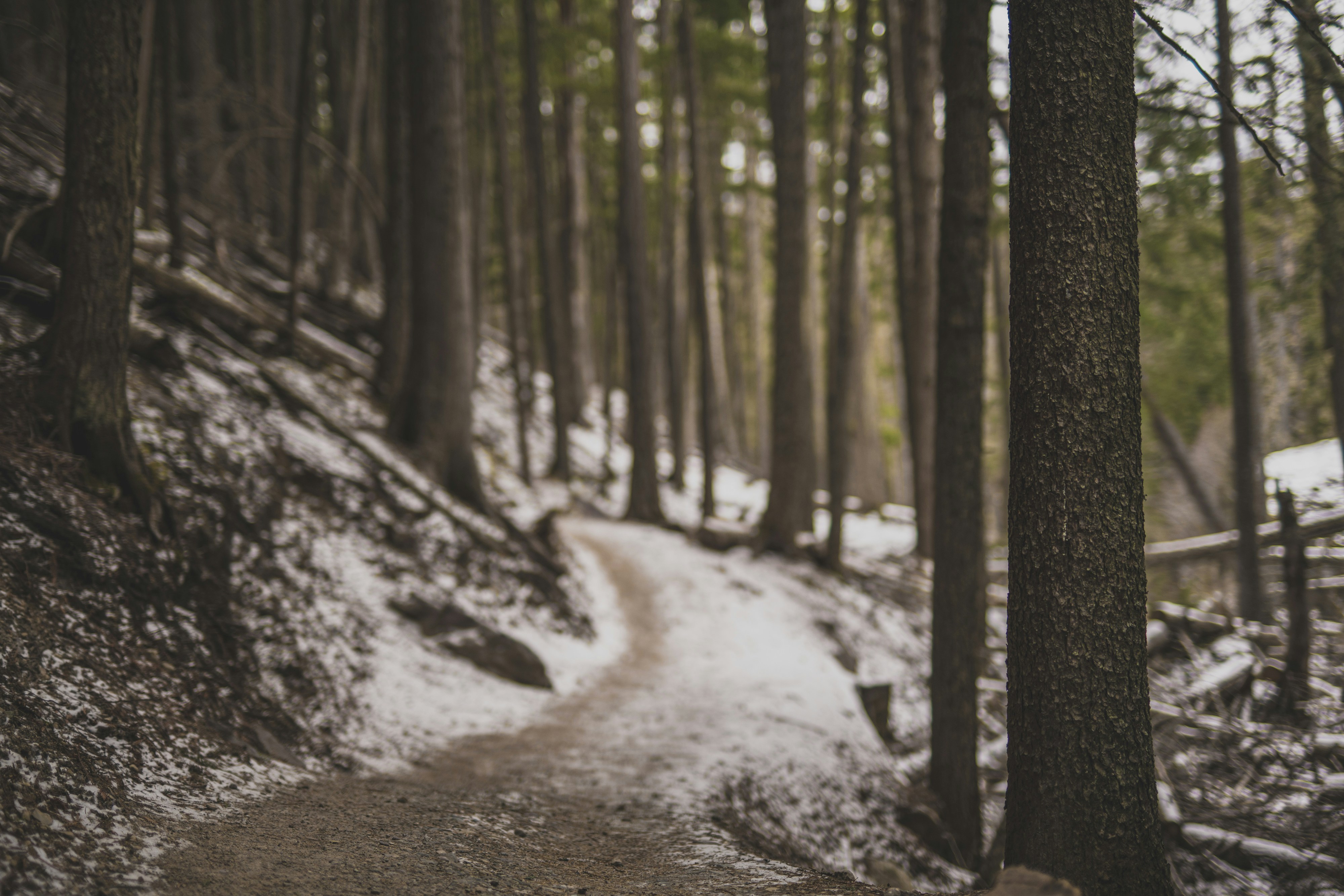 Photo by greaterthanimage