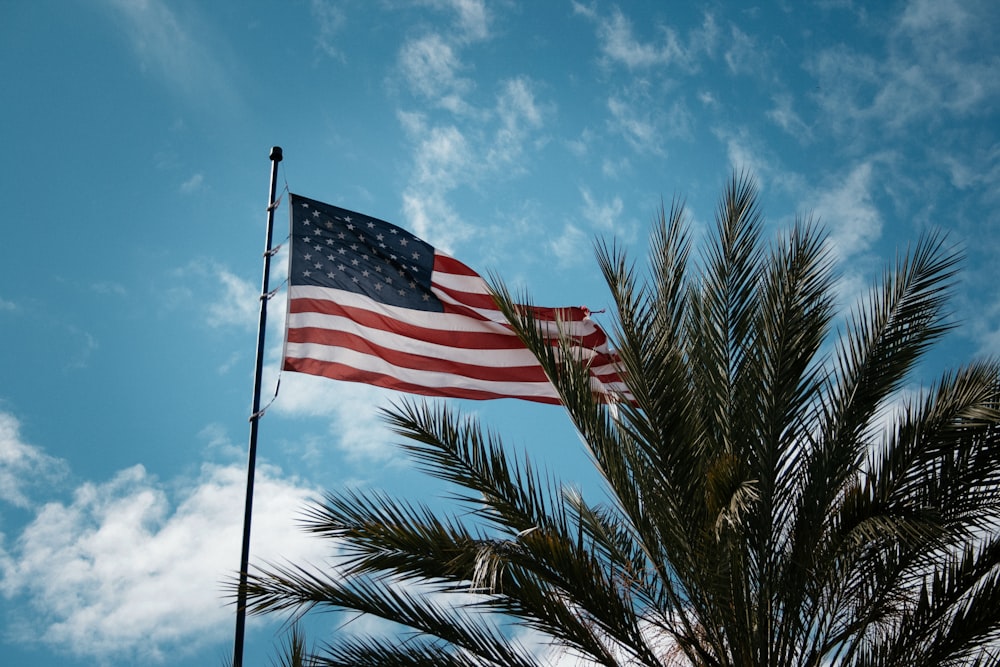 raised US flag near tree