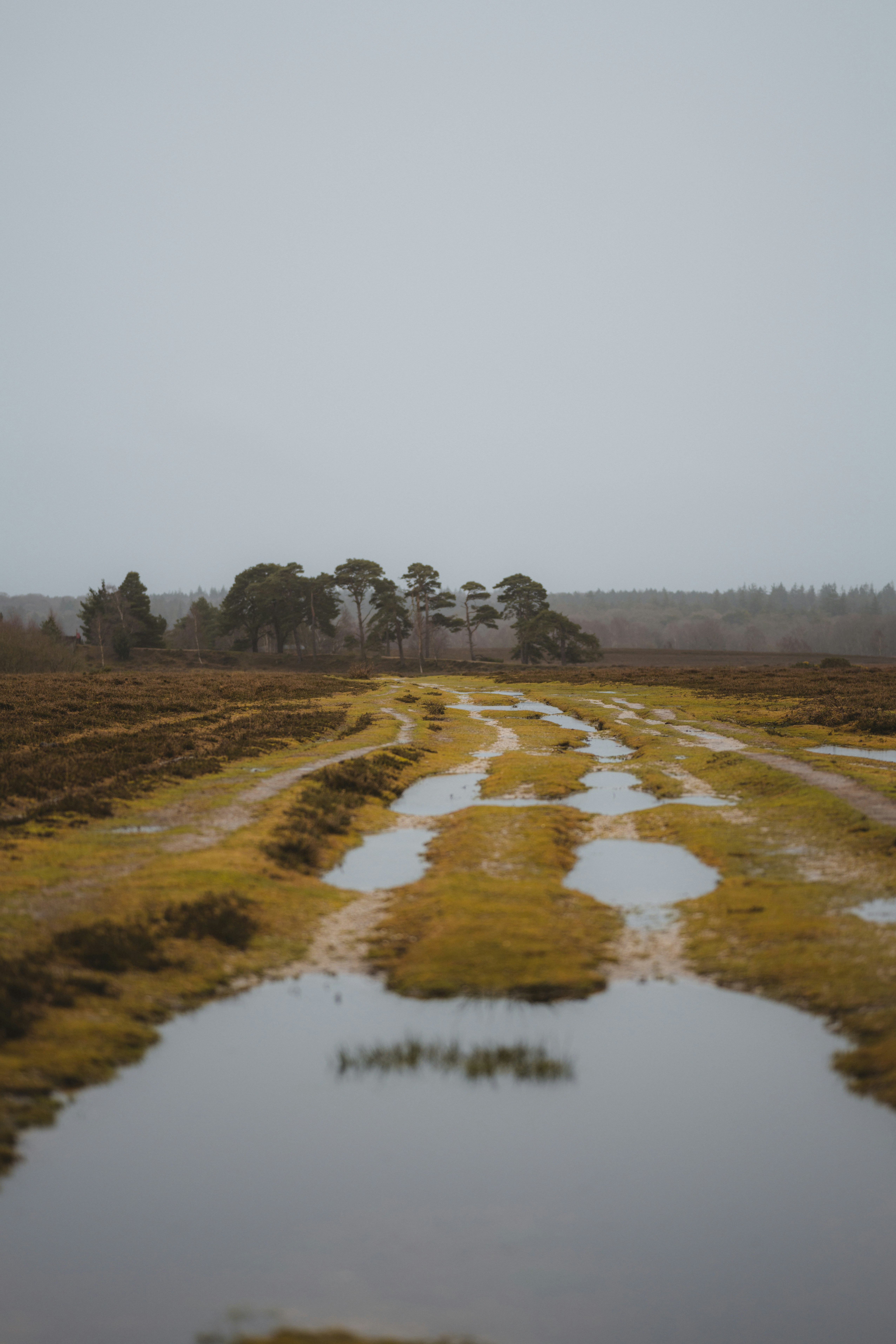 Photo by anniespratt