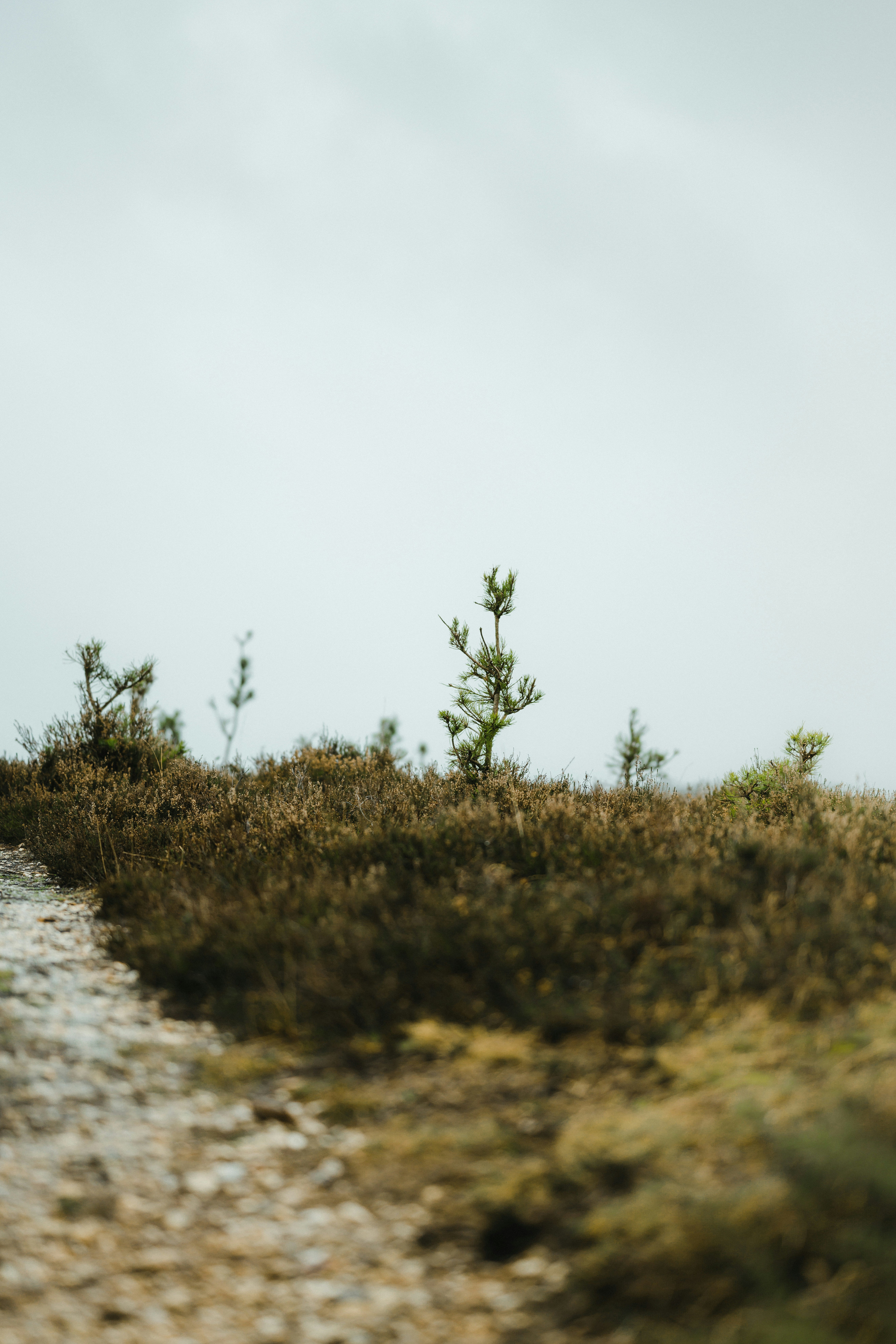 Photo by anniespratt