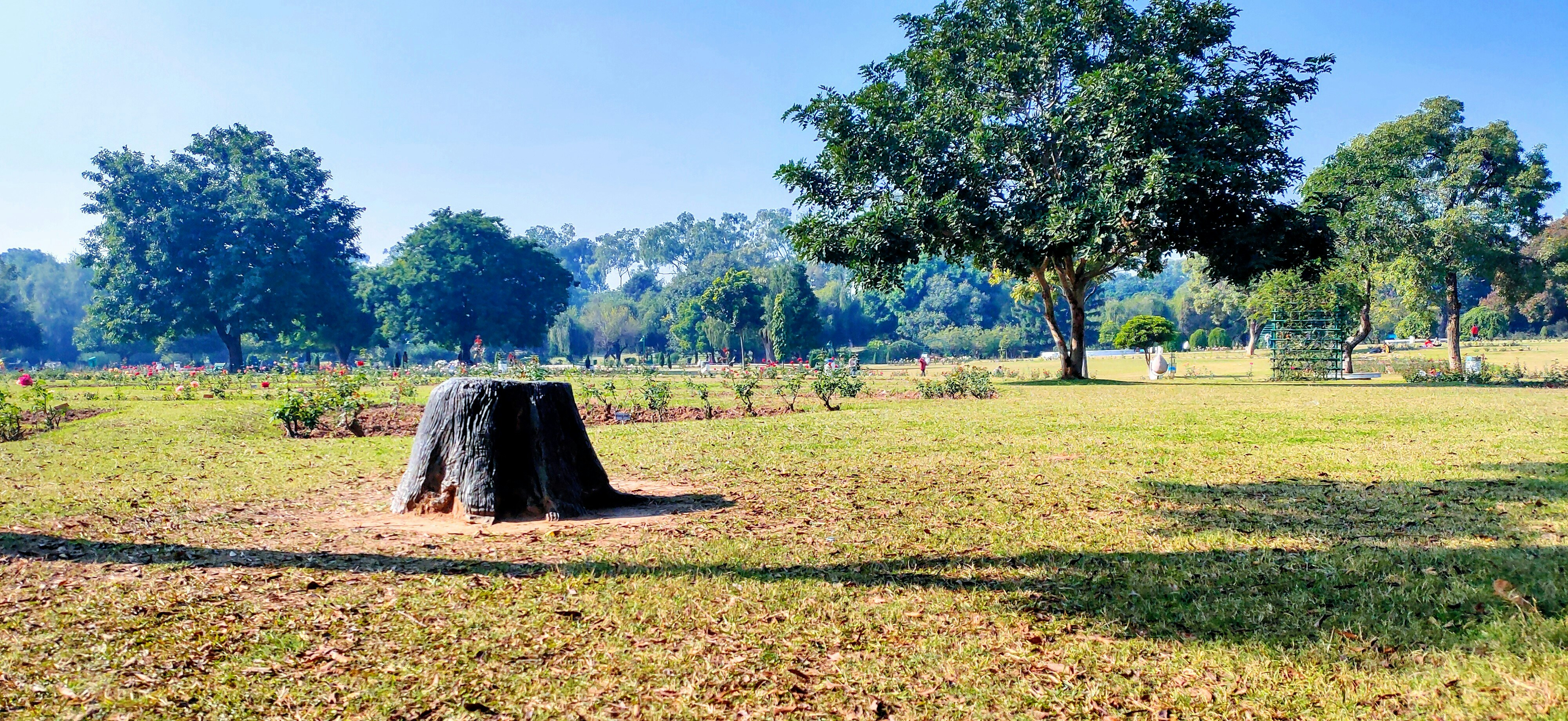 landscape photography of green pasture