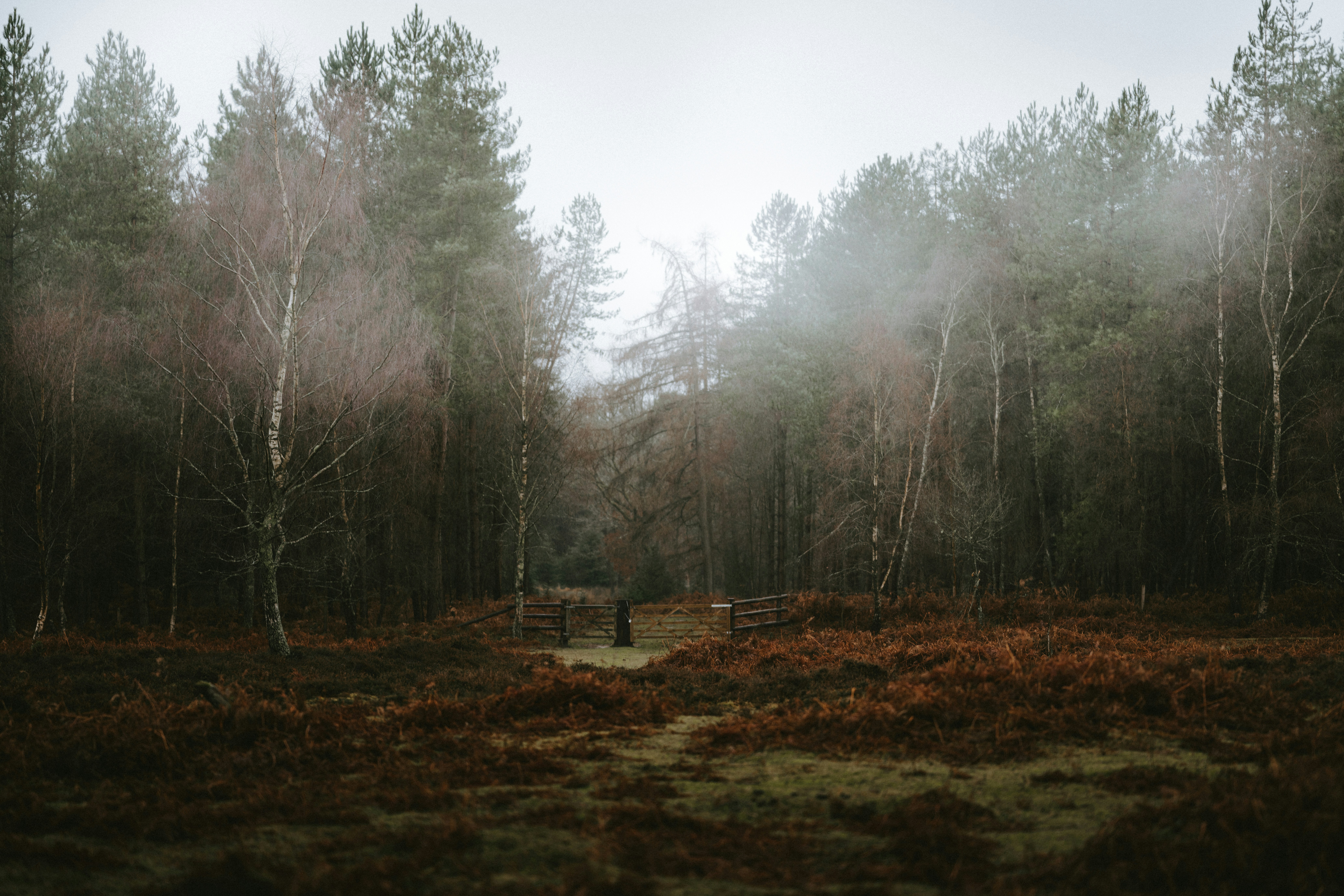 Photo by anniespratt