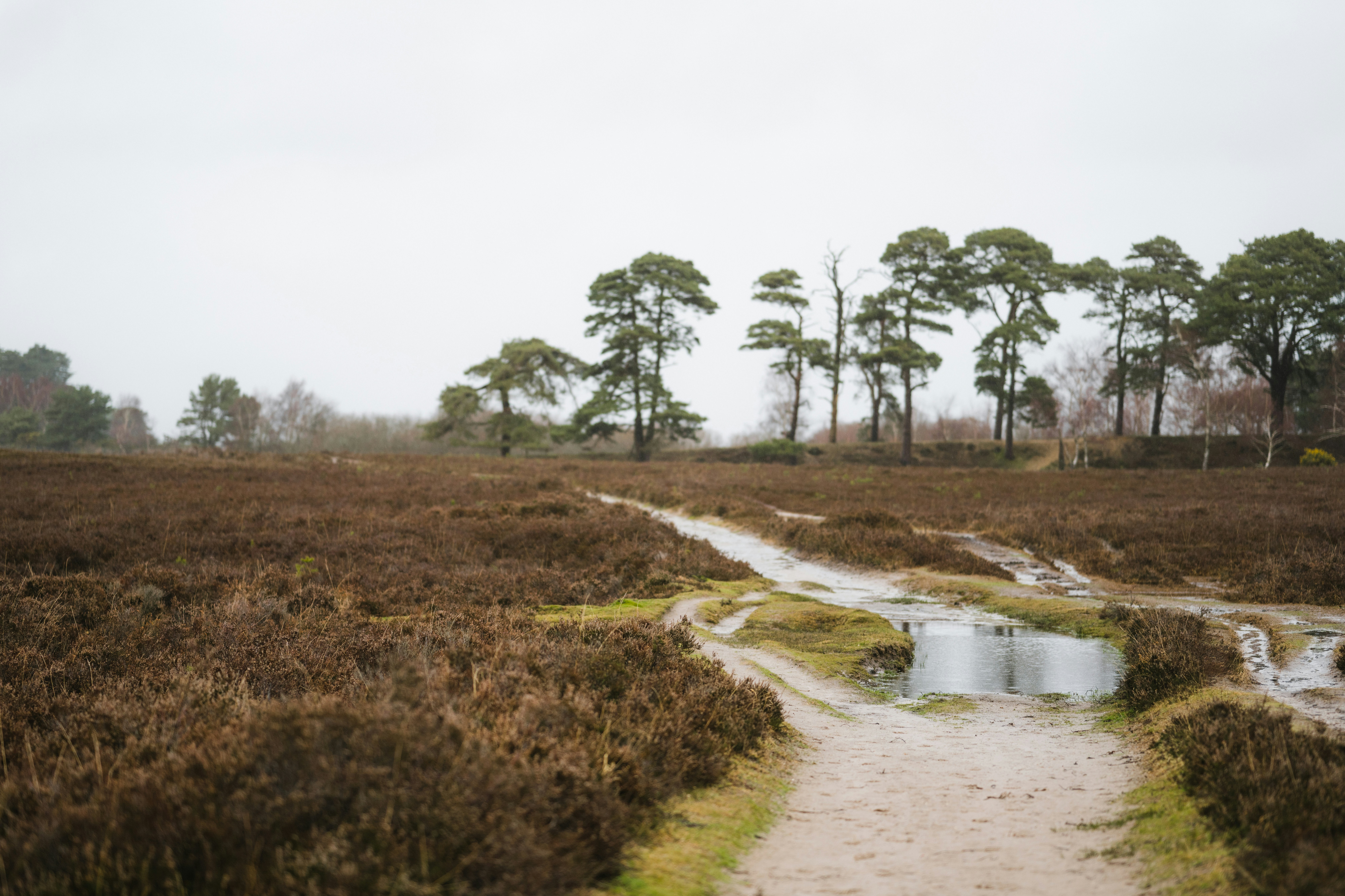 Photo by anniespratt