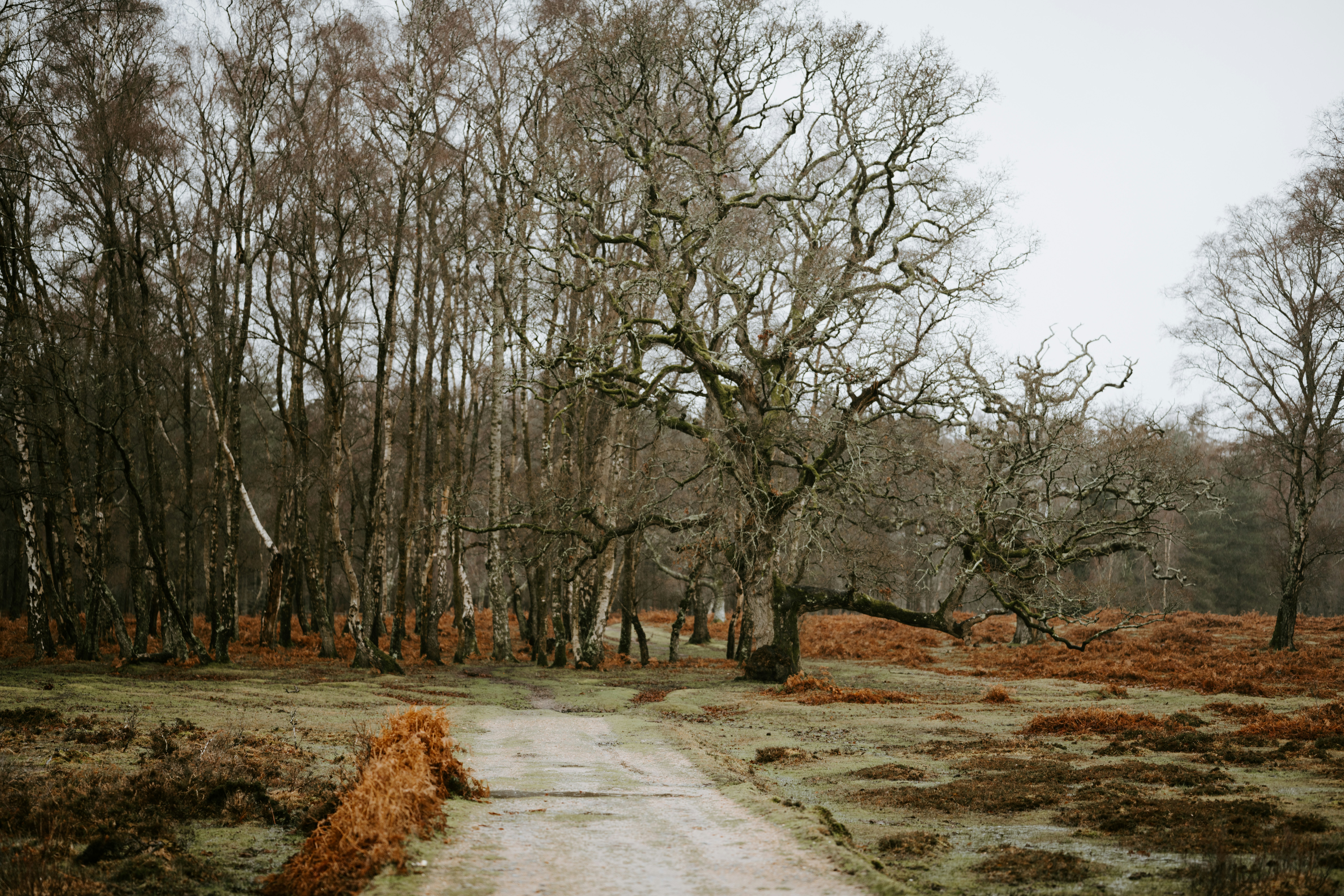 Photo by anniespratt