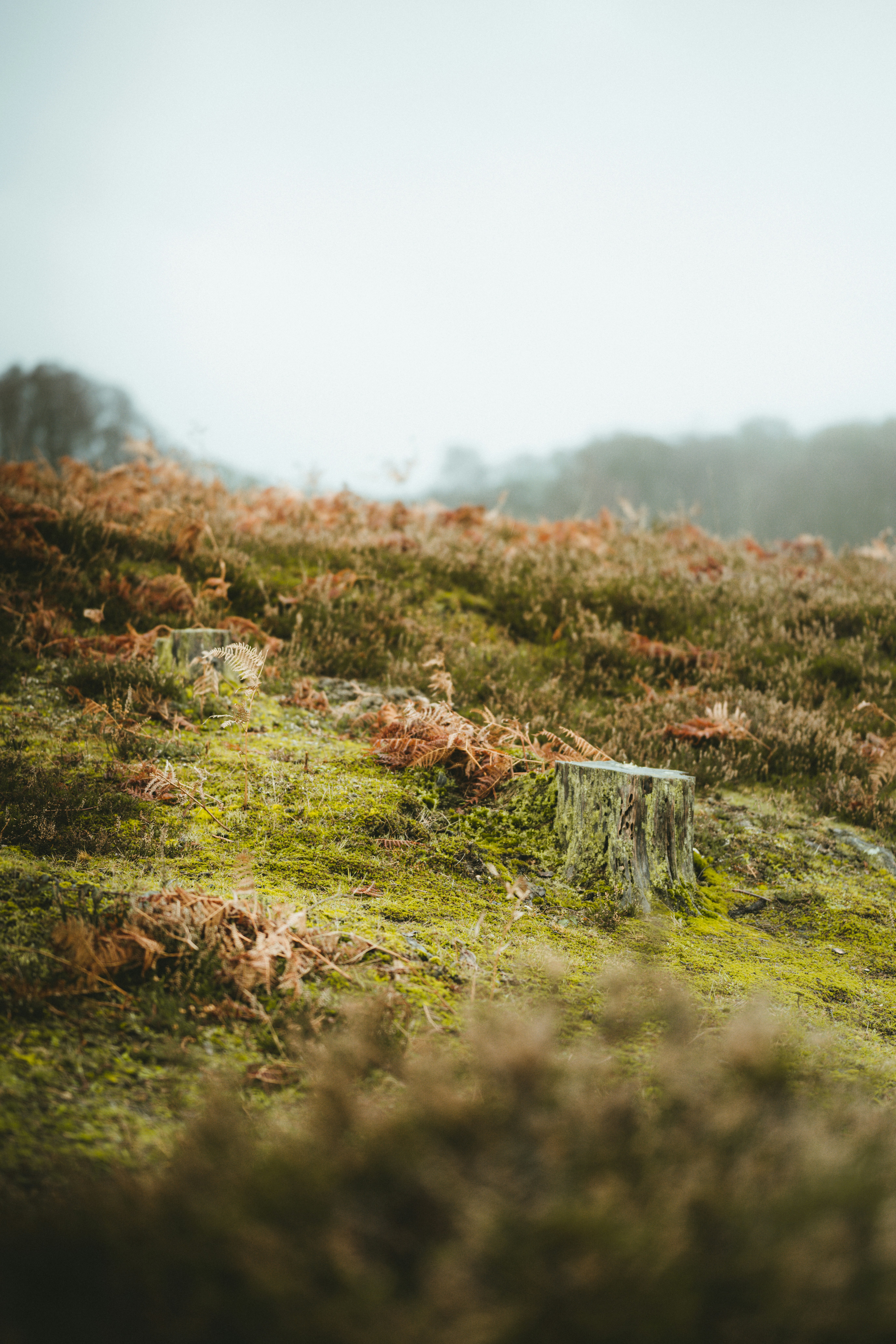 Photo by anniespratt