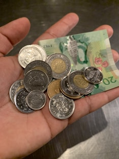 two-toned coins with banknote on hand
