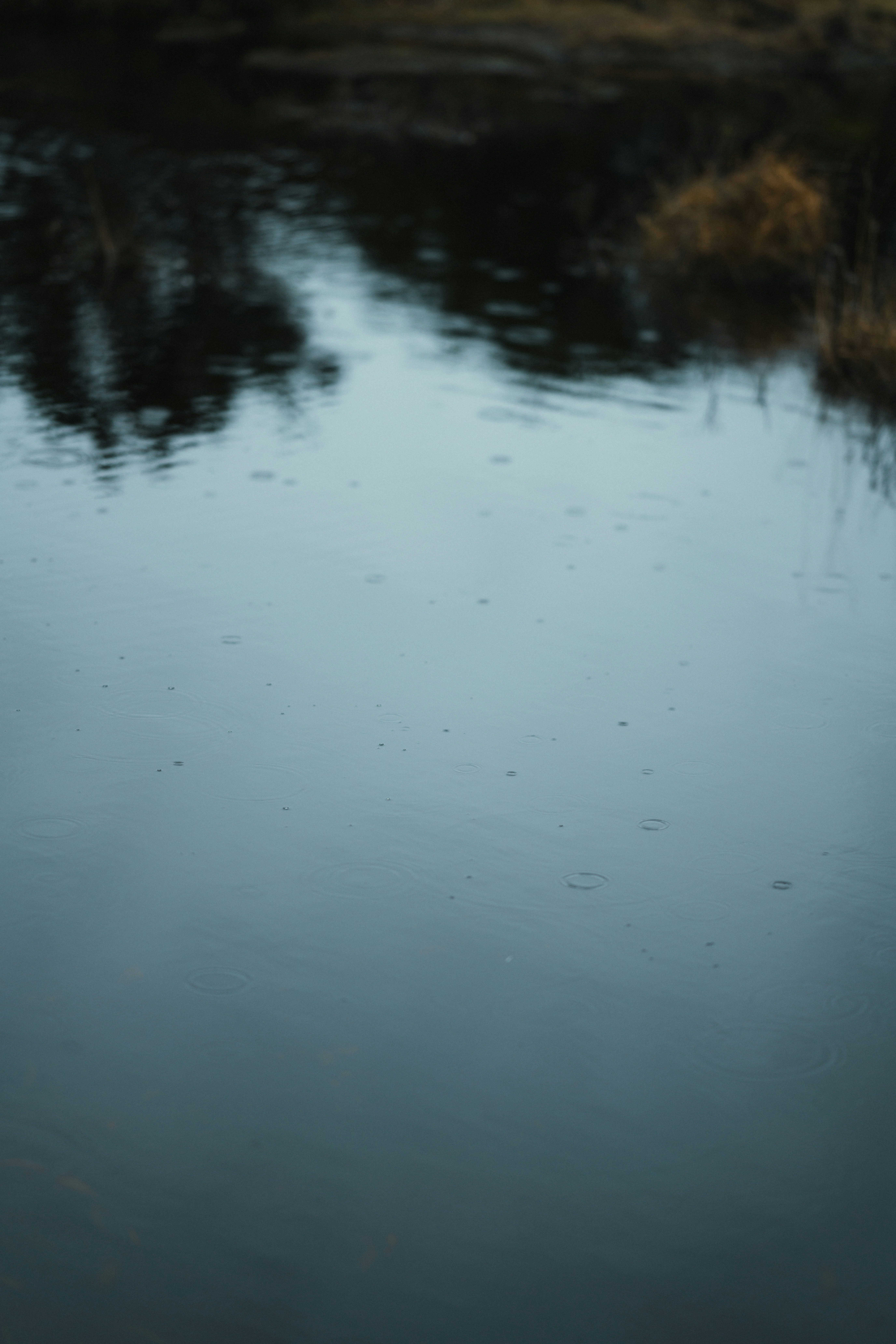 Photo by anniespratt