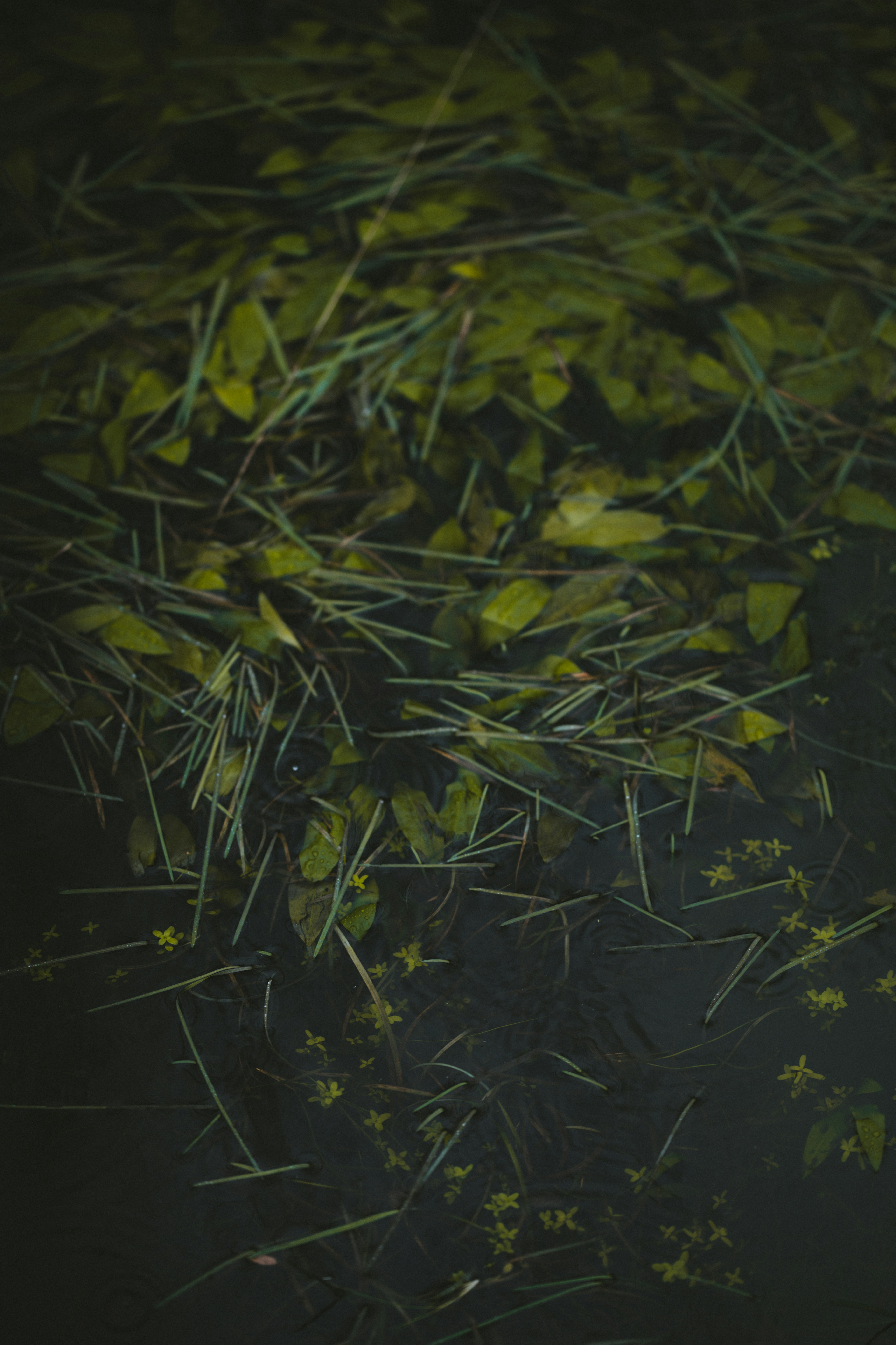 Photo by anniespratt