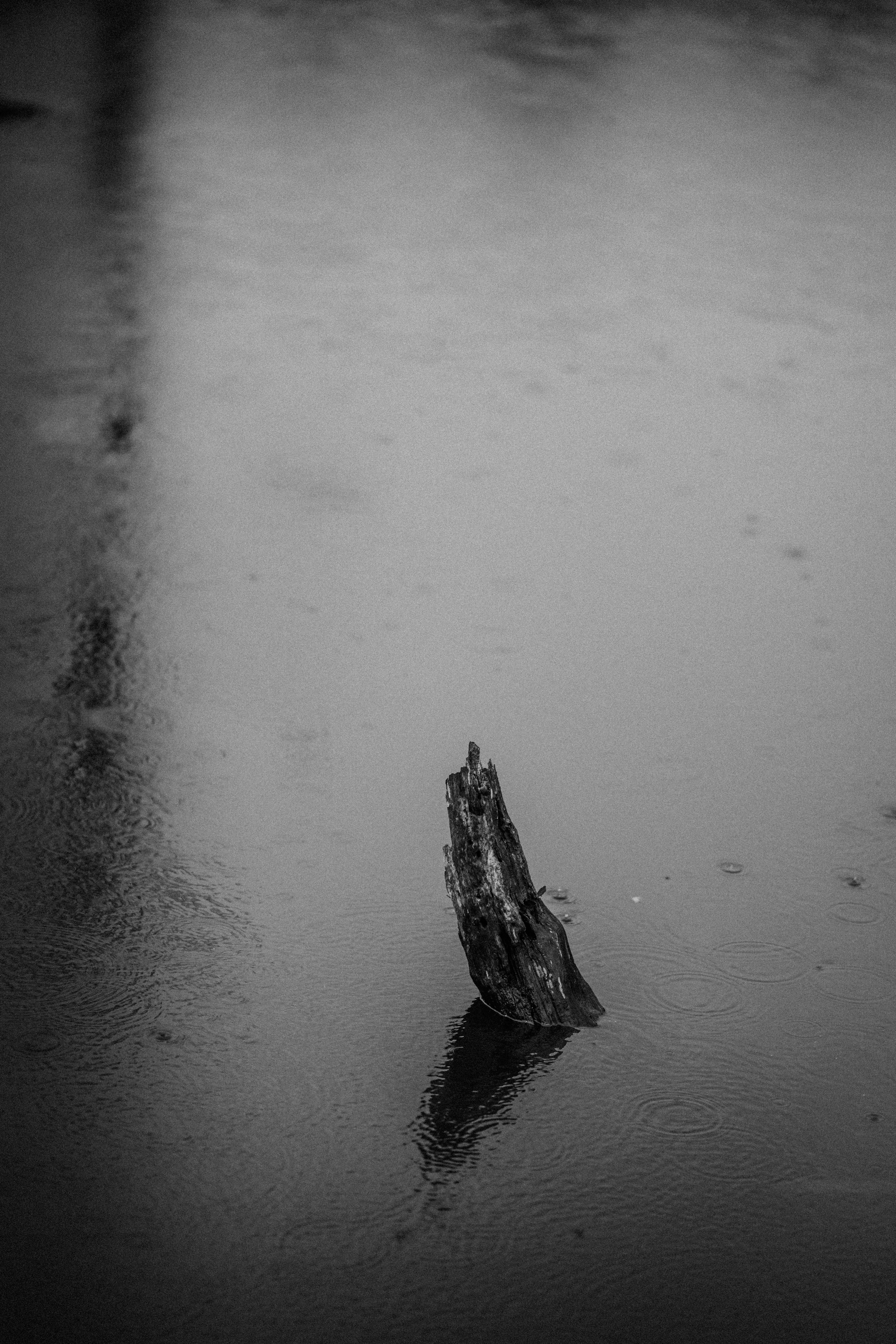 Photo by anniespratt