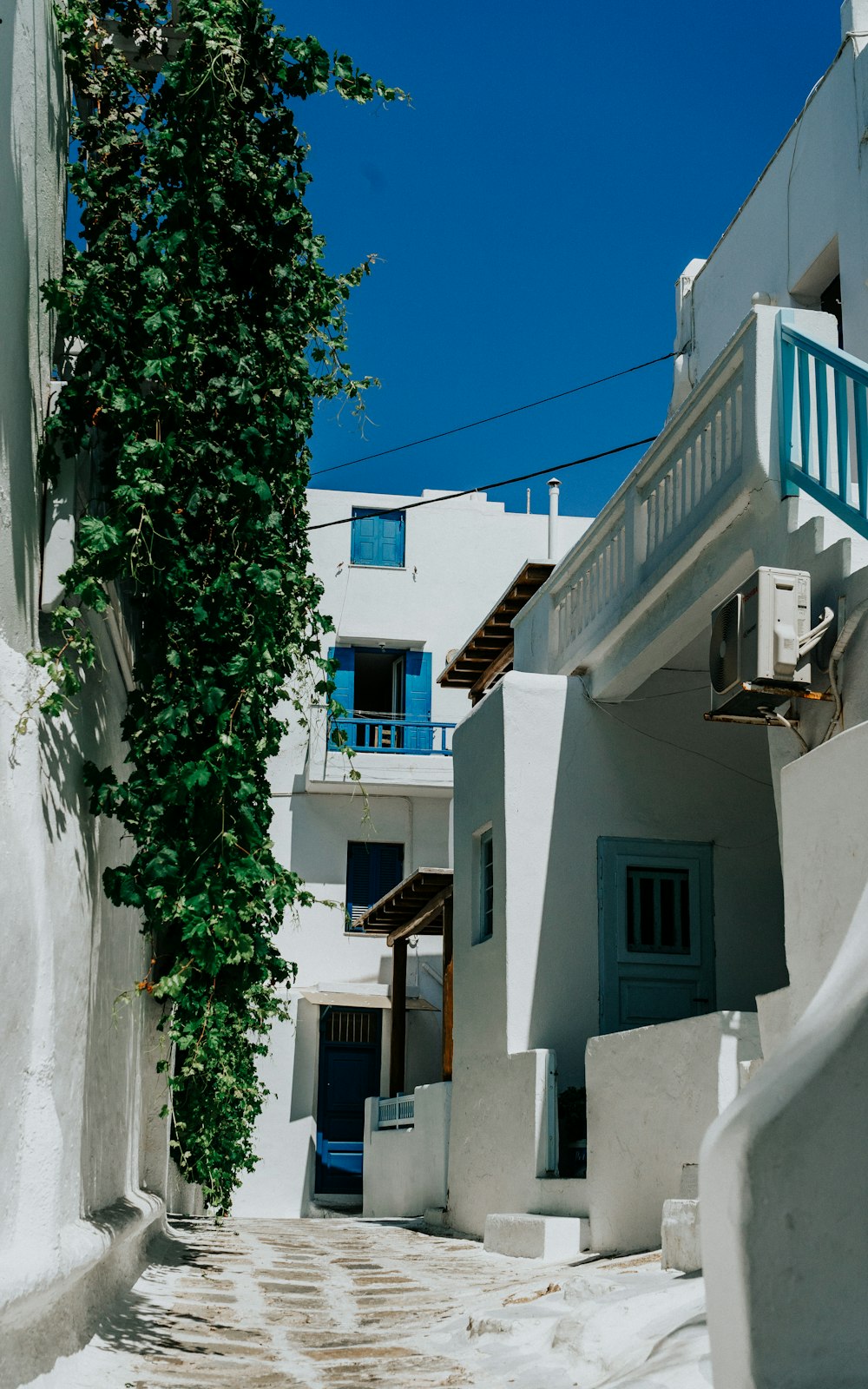 architectural photography of white and blue building during daytime