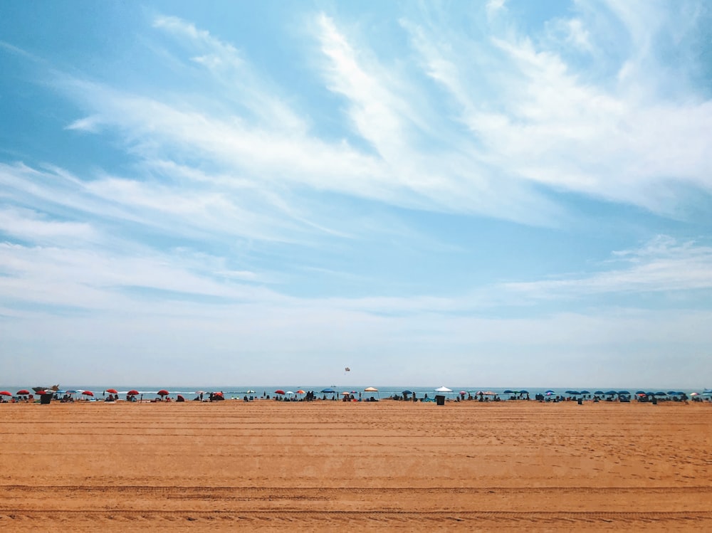 people on beach under white and blue sky