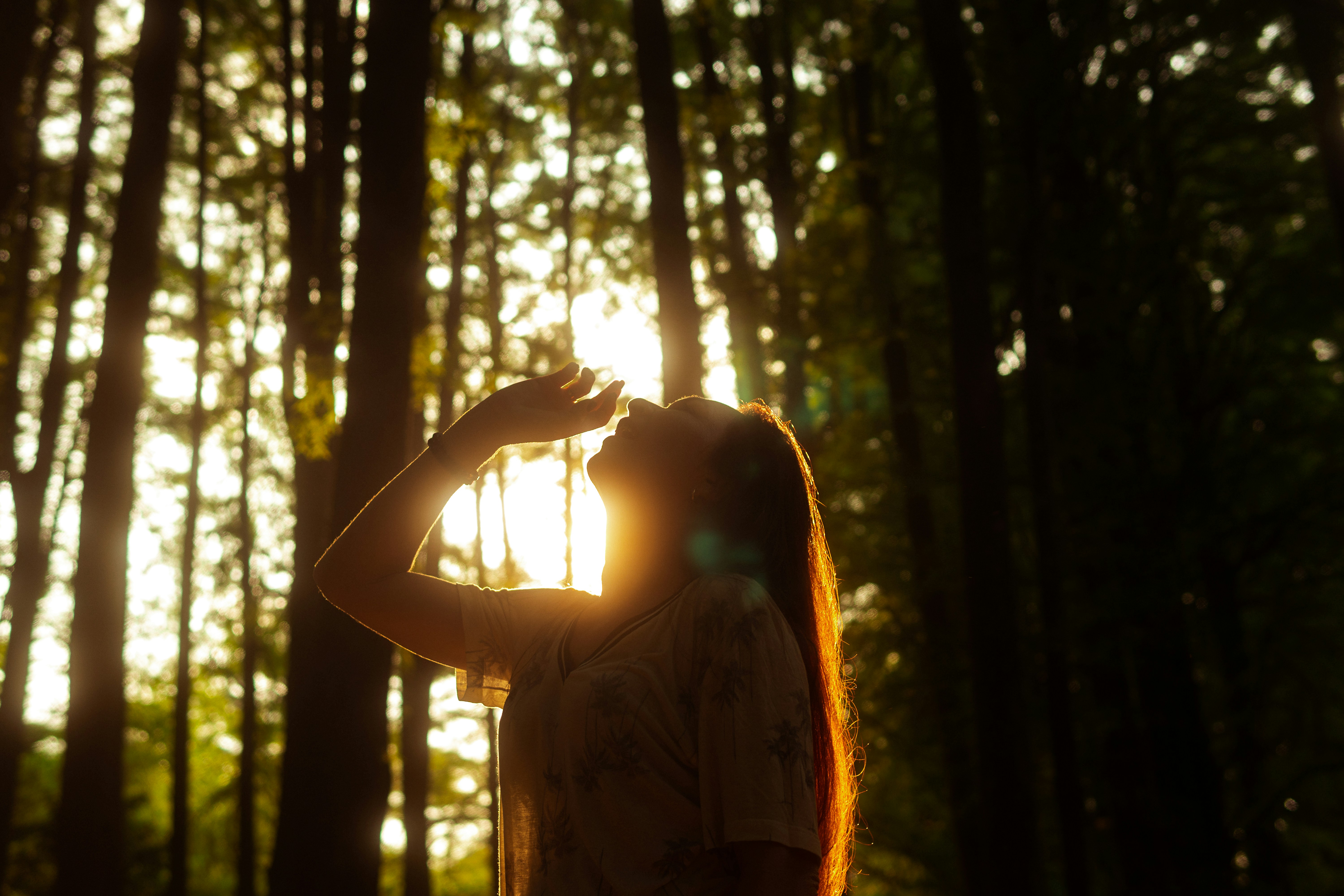 AshSwap header image