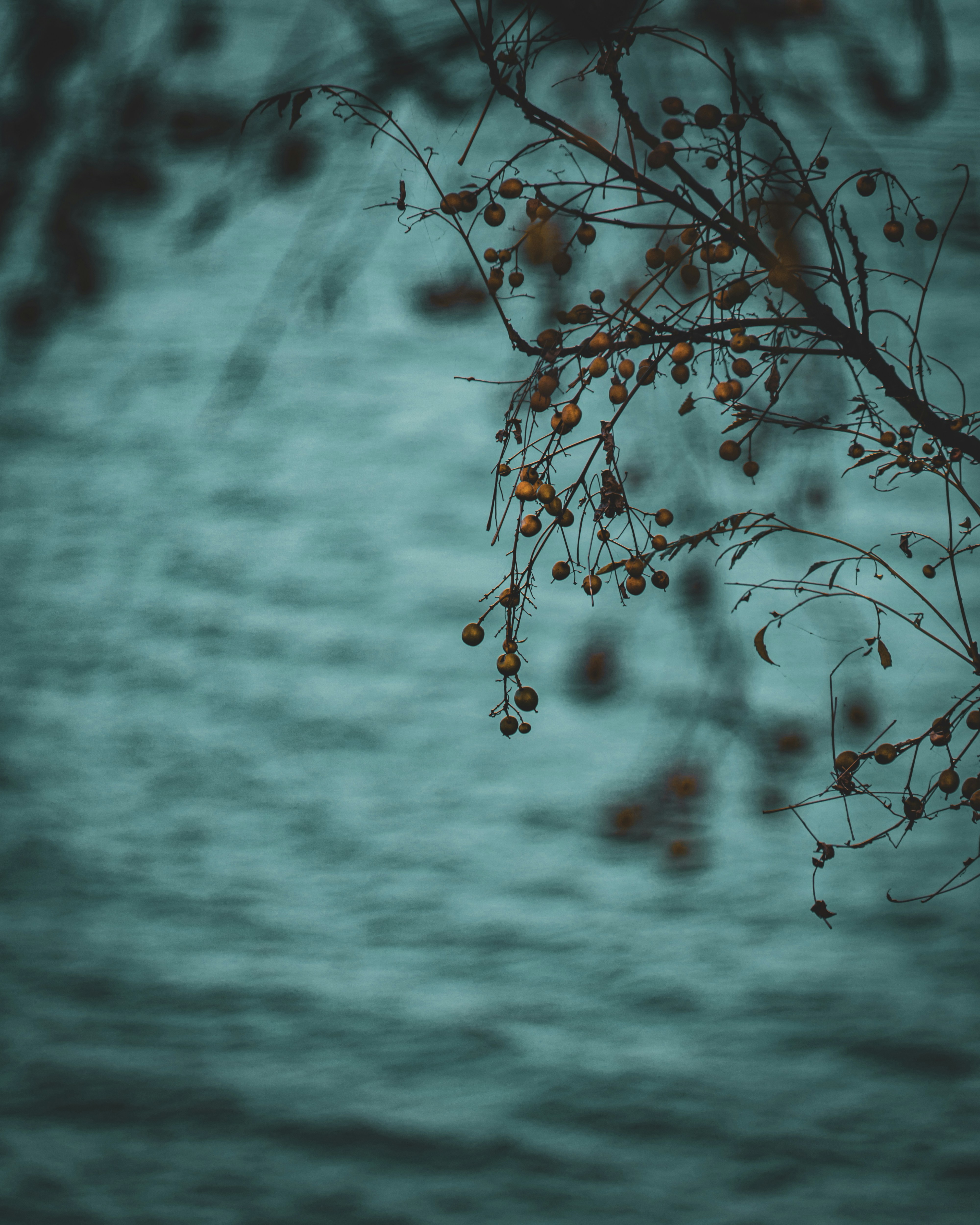 Photo by sumit_saharkar