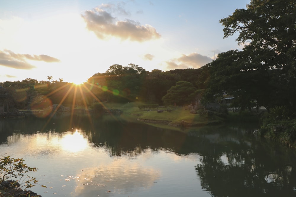 reflection of trees on body of water during daytime