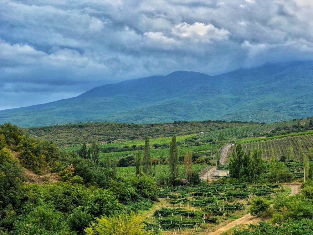 green field under cloudy sky during daytime