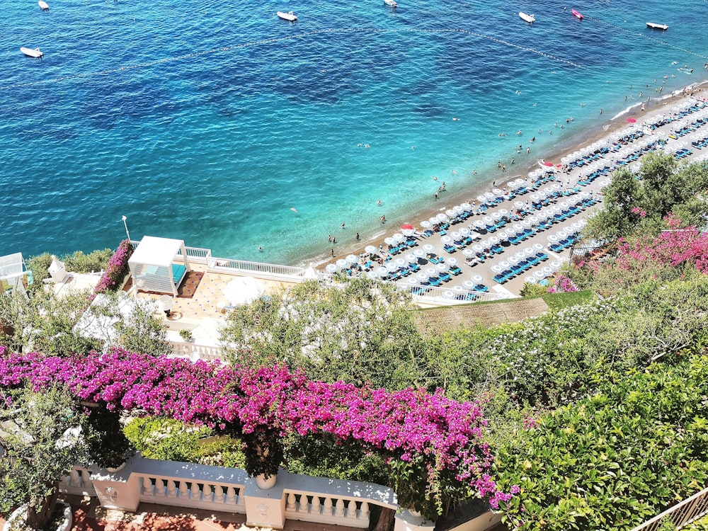 aerial photography of beach umbrellas near hotels and buildings during daytime