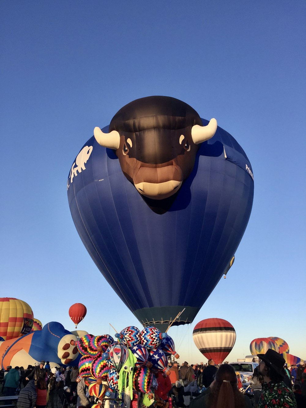 people watching multicolored hot air balloons during daytime