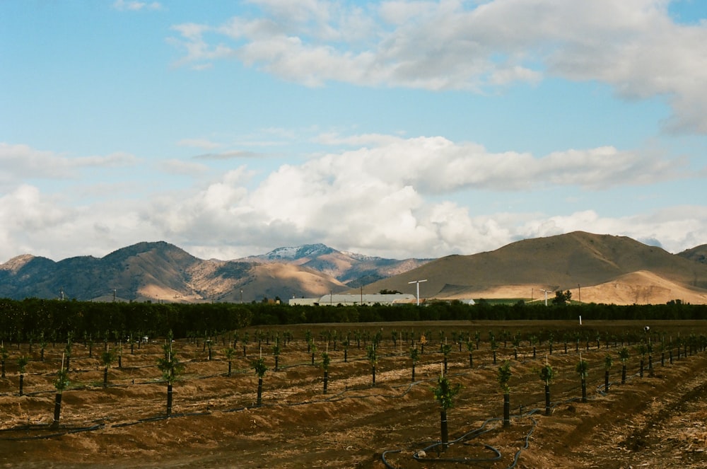 landscape photography of green field viewing mountain under white and blue sky