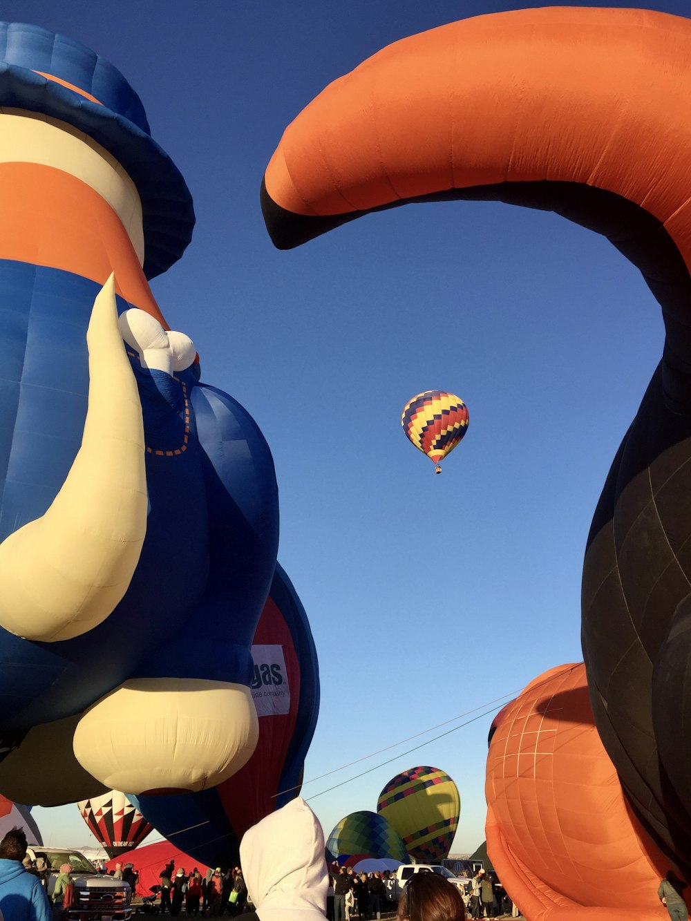 people watching multicolored hot air balloons during daytime