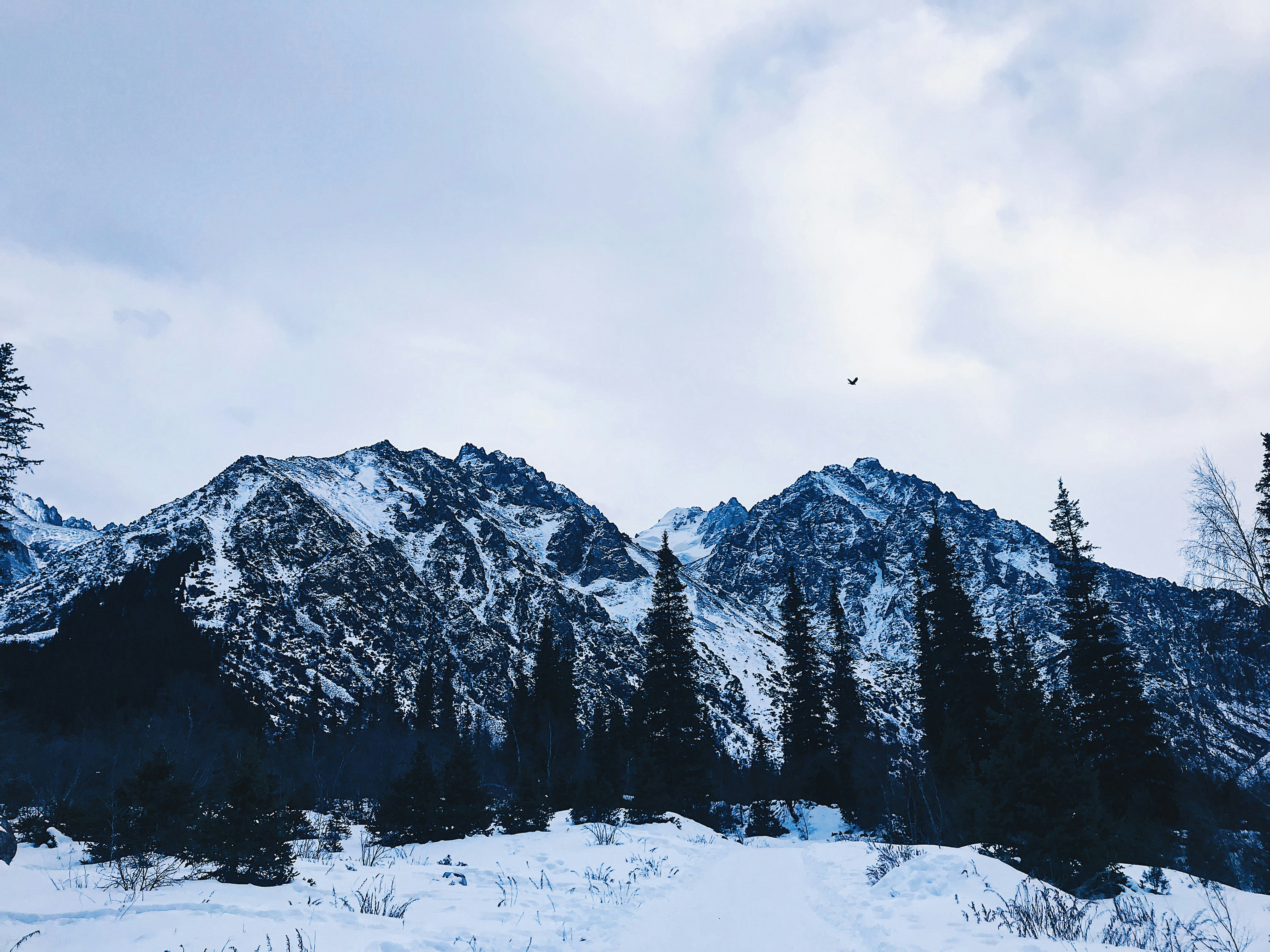 Photo by leirenestrong