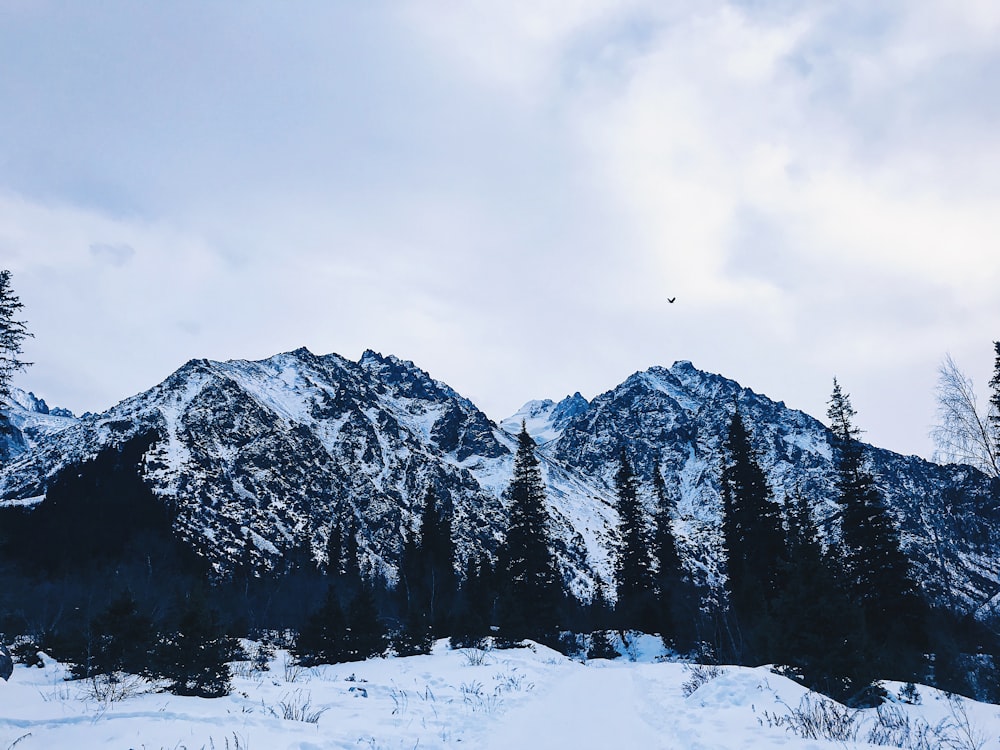 snowy mountain photograph