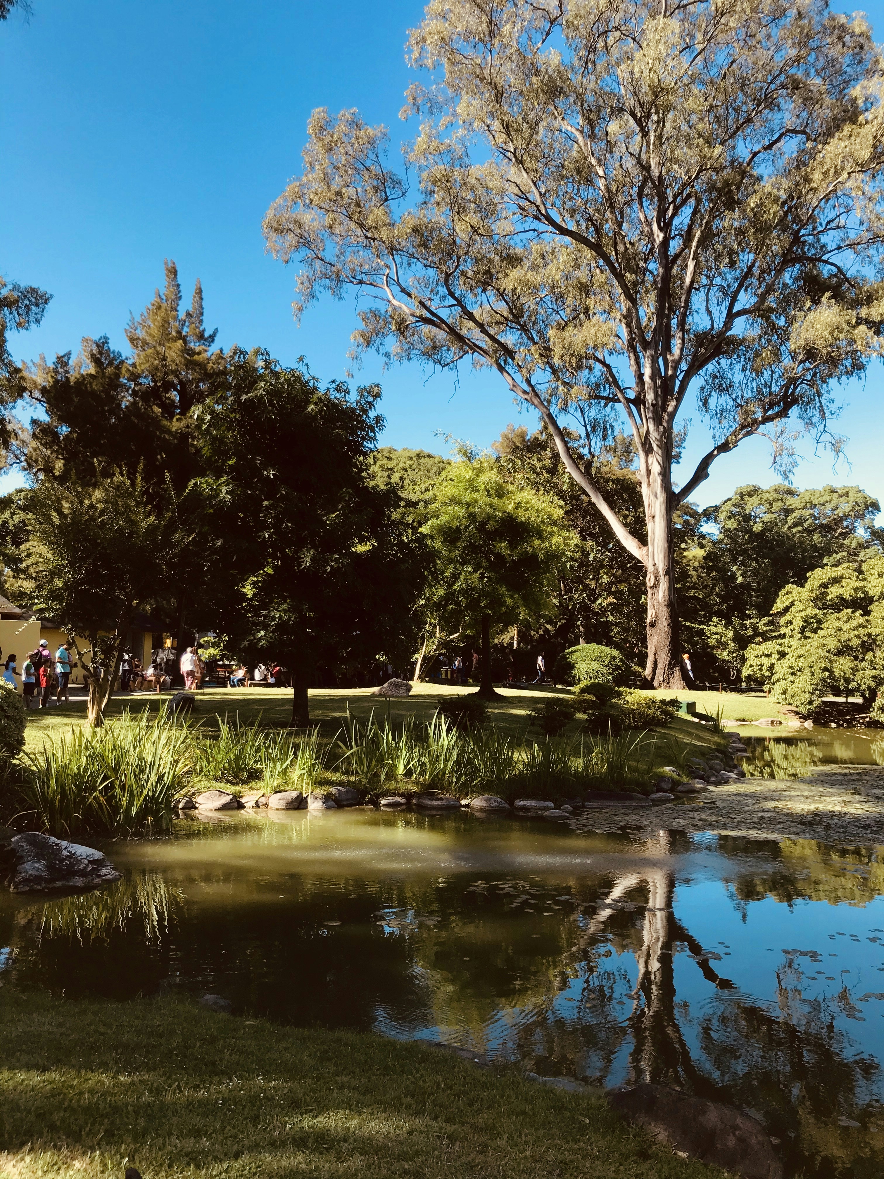 Photo by marcosmorcani