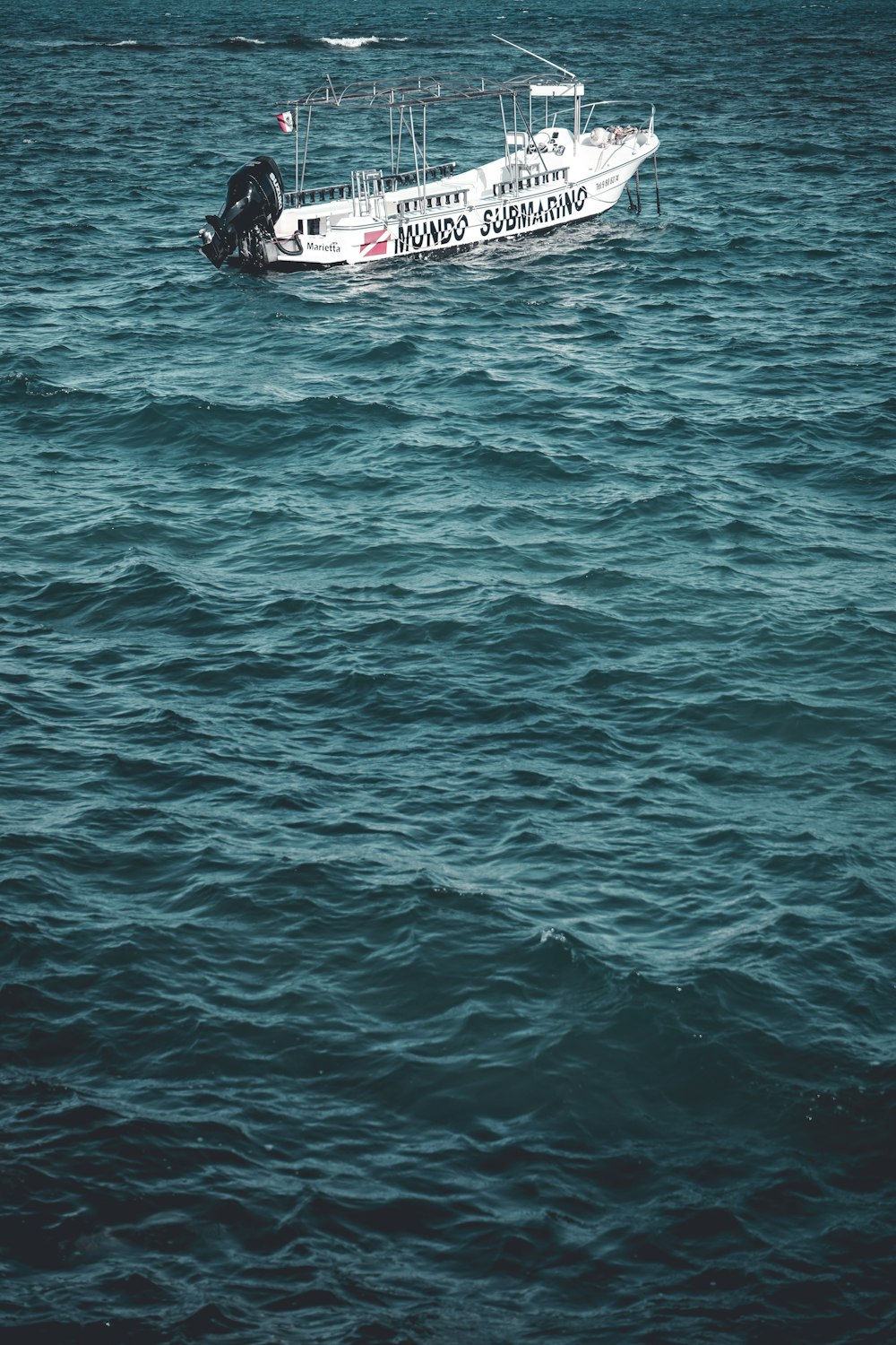 white and black powerboat