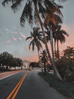 A scenic road in Tulum with an Amanecer Tulum Transfers vehicle driving past palm trees under a bright blue sky.