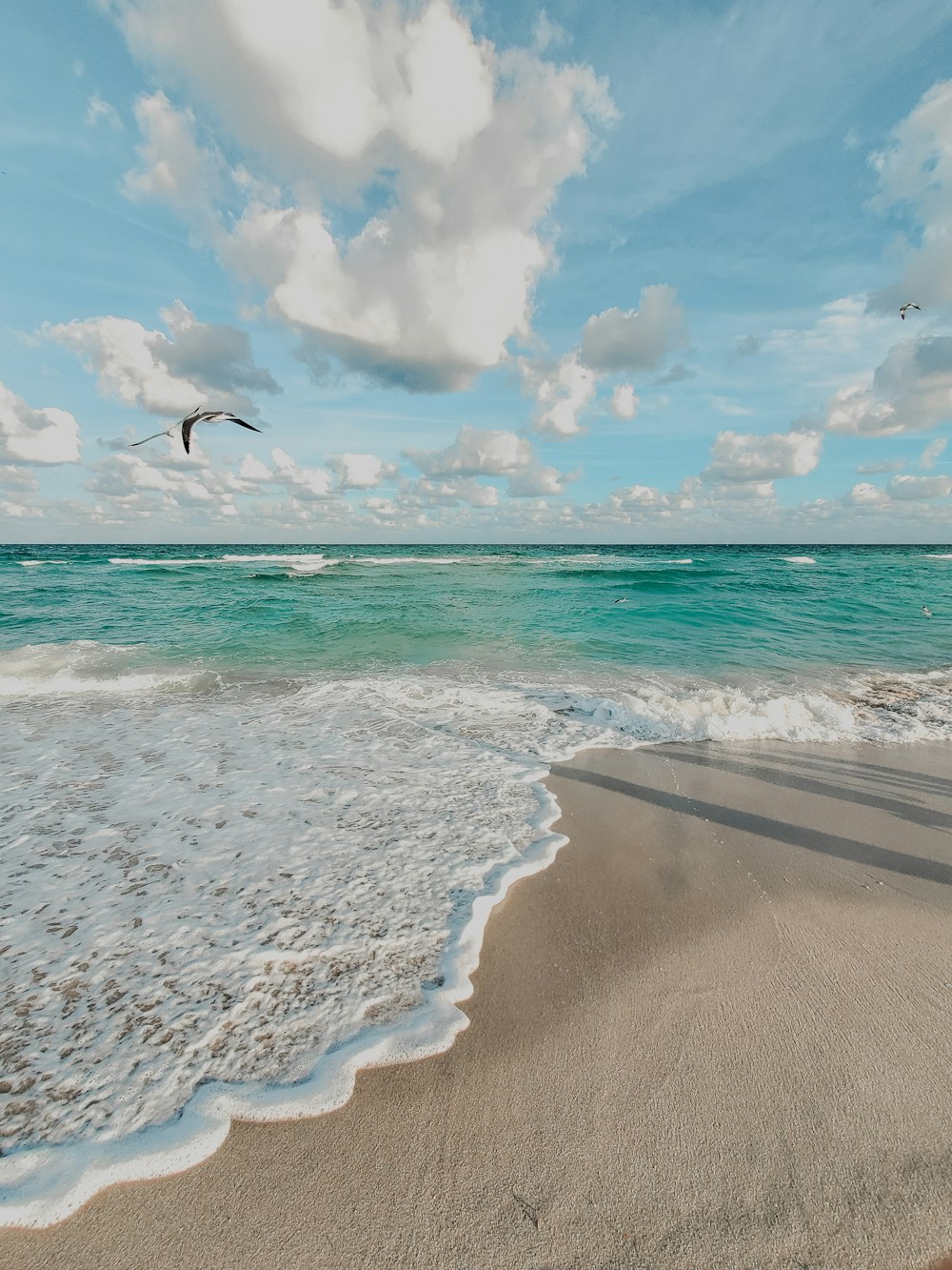 specchio d'acqua fotografia