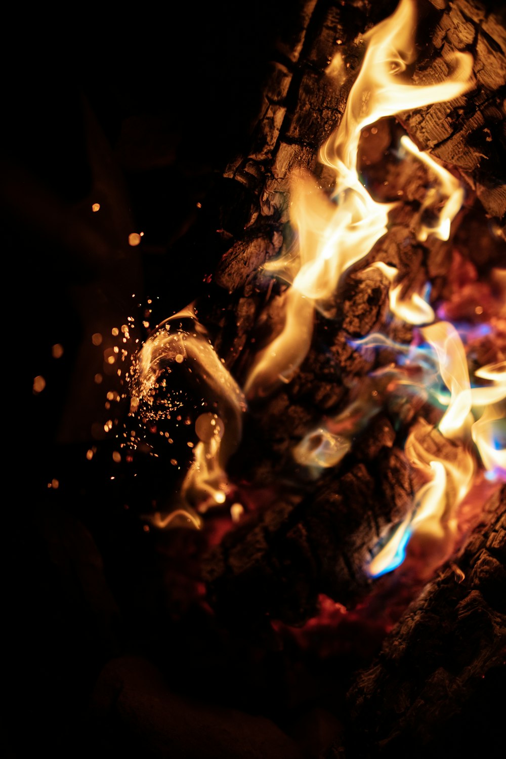 lighted bonfire photograph