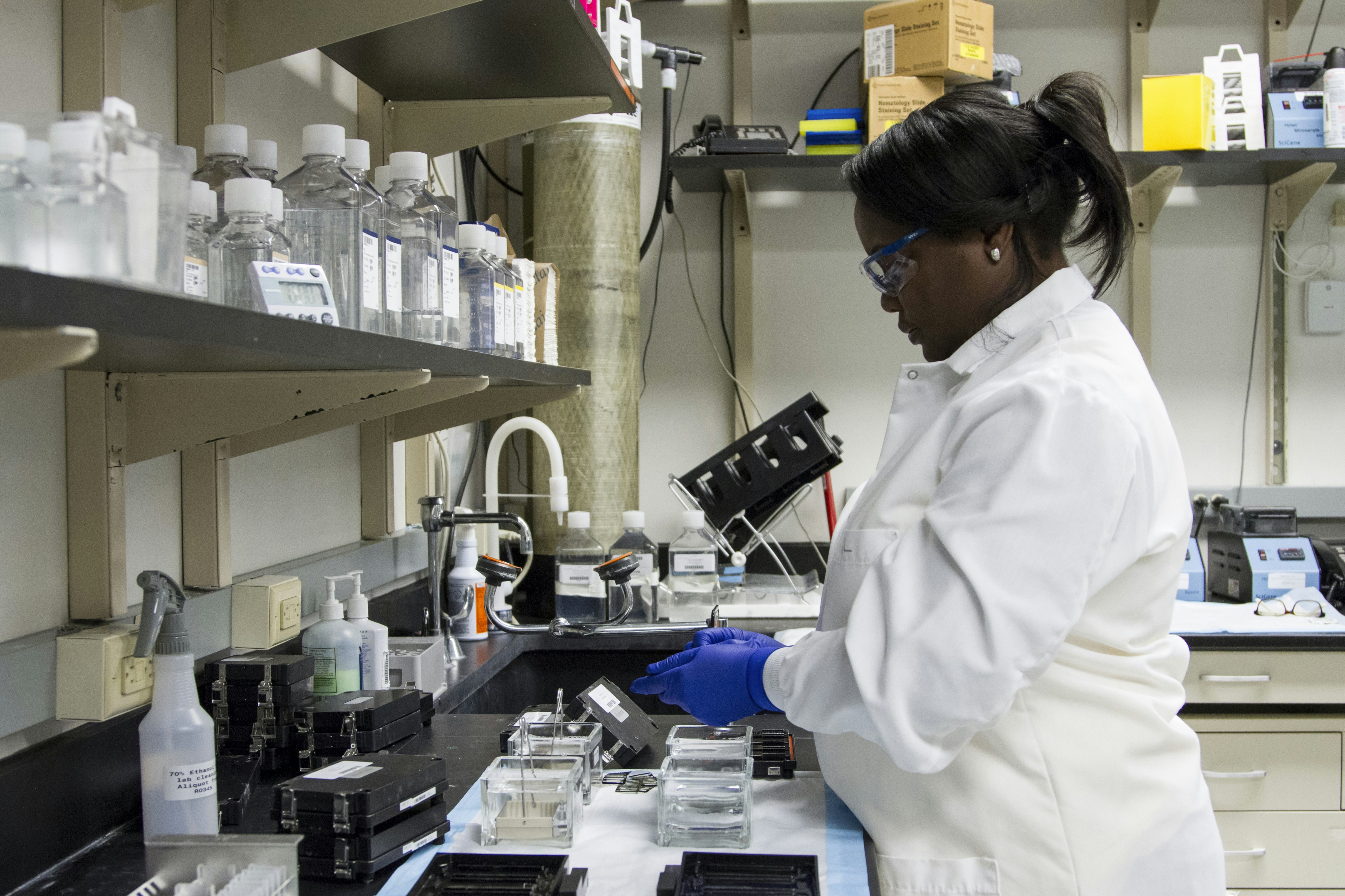 DNA Genotyping and Sequencing. A technician at the Cancer Genomics Research Laboratory, part of the National Cancer Institute
