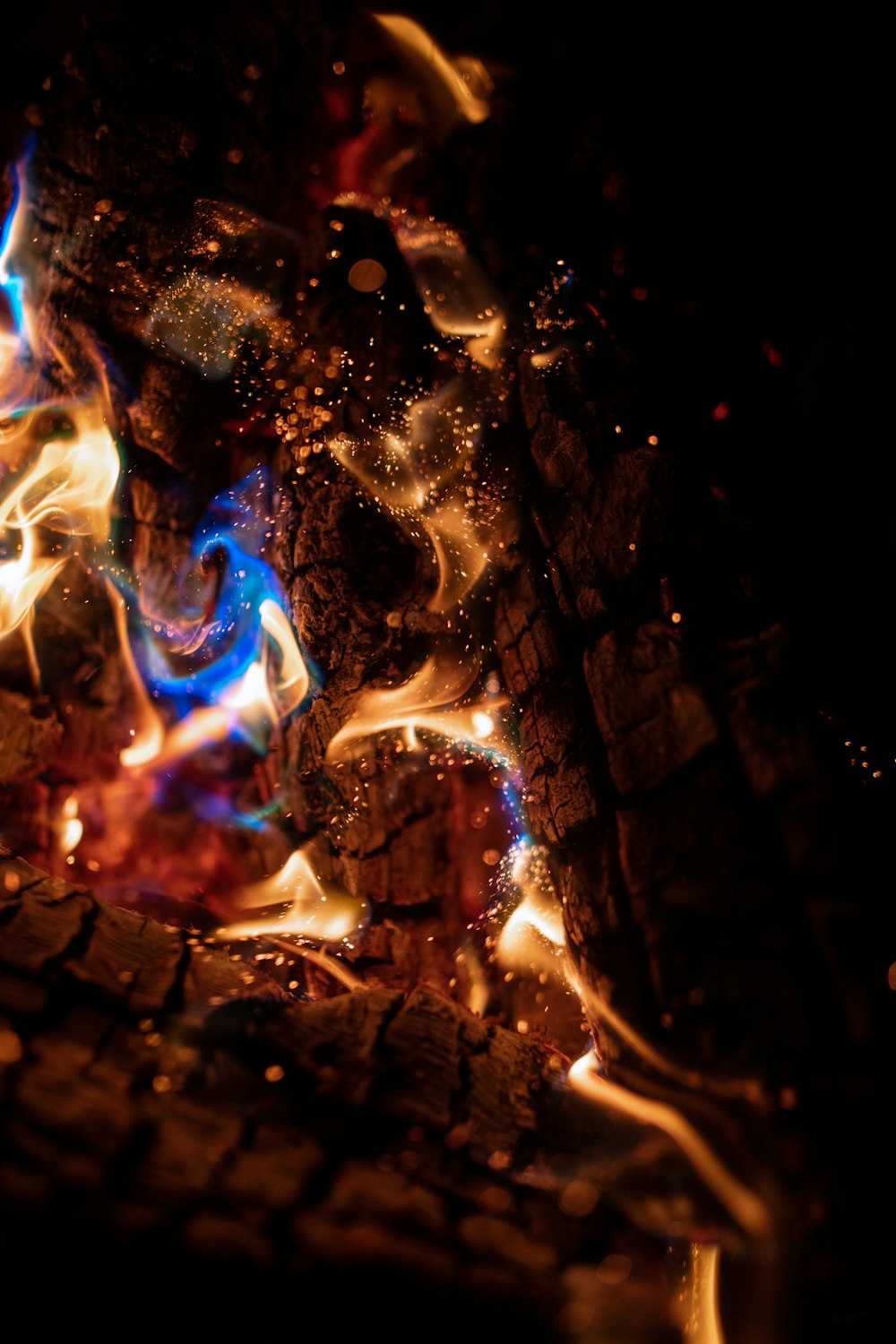 lighted bonfire photograph