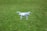 A white quadcopter drone is hovering closely above a lush, green grassy field.