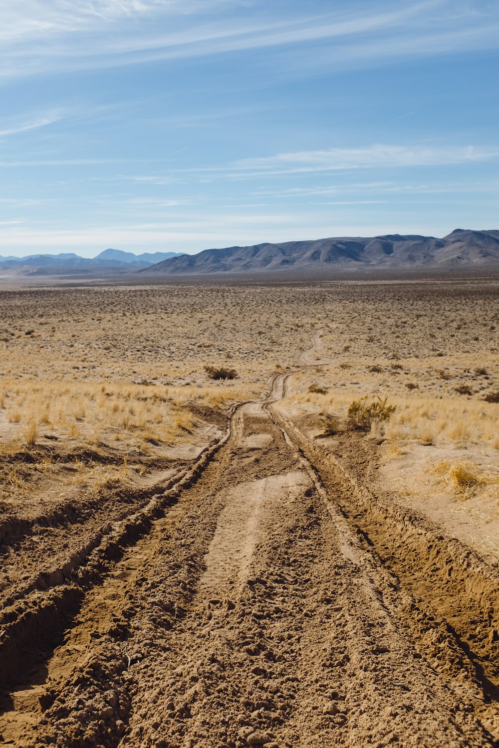 Fotografía del desierto