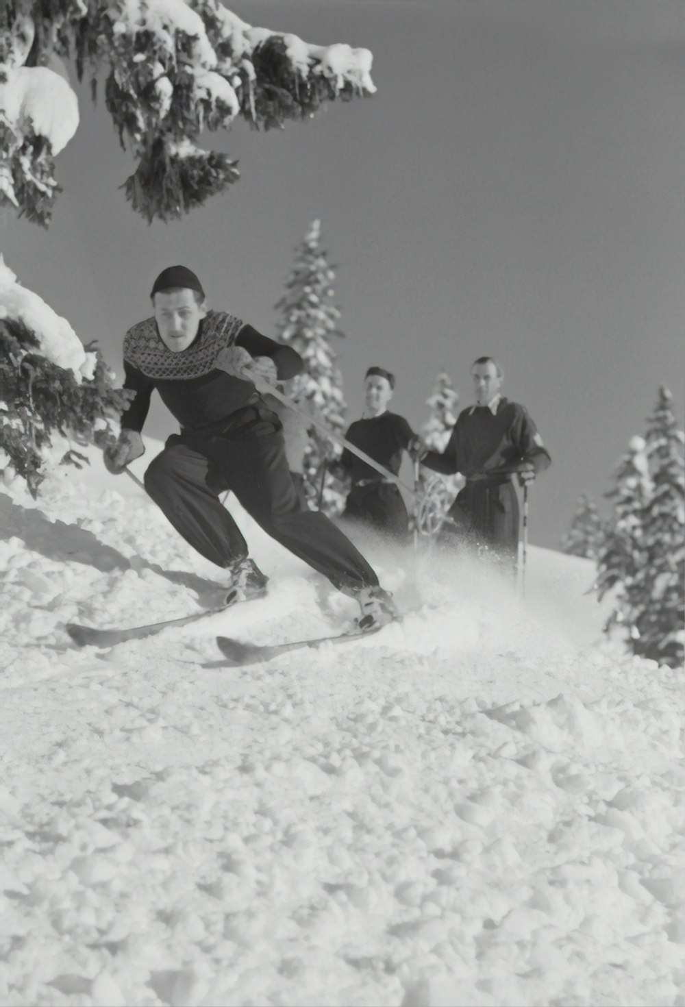 노르딕 스키를 타는 사람들의 회색조 사진
