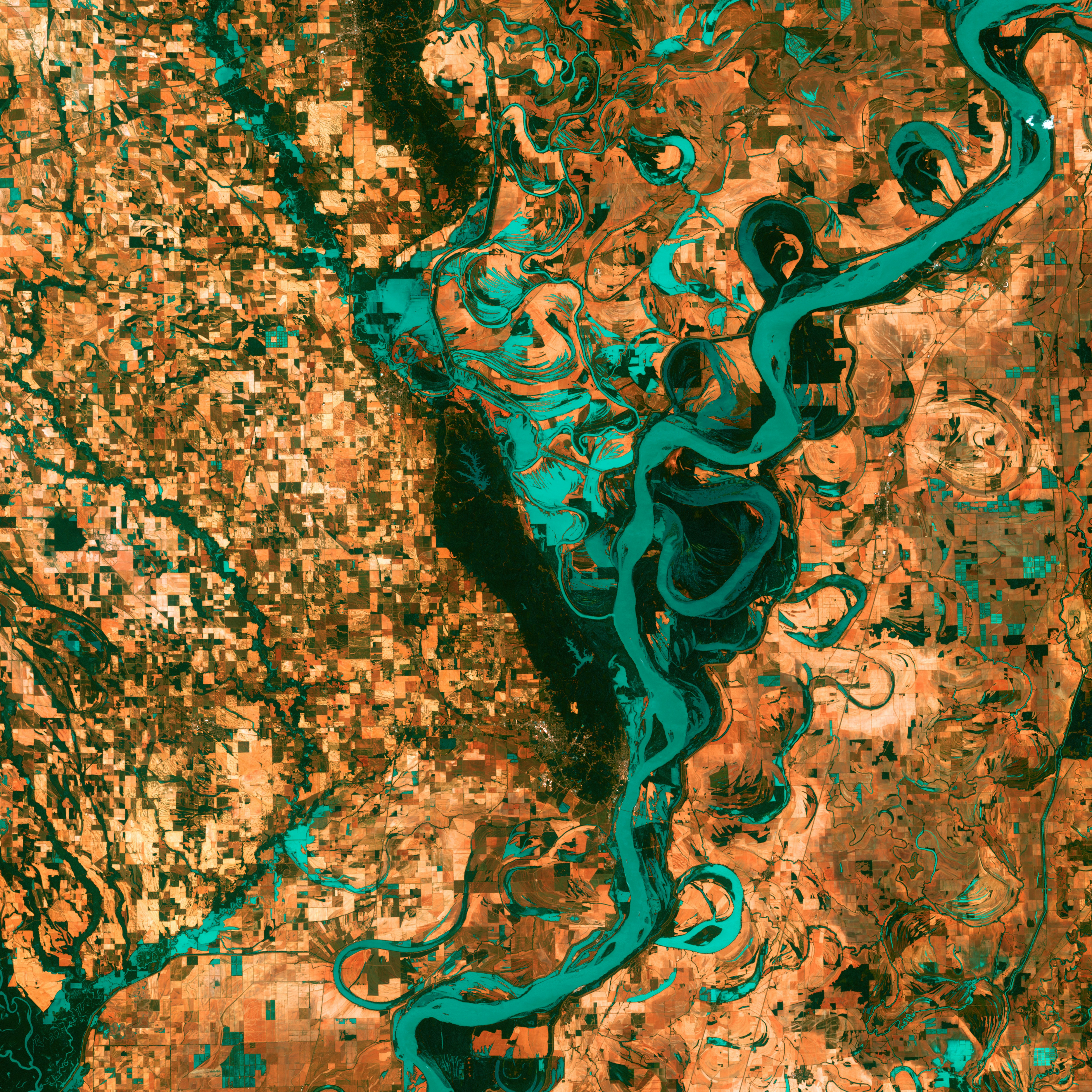 Small, blocky shapes of towns, fields, and pastures surround the graceful swirls and whorls of the Mississippi River. Countless oxbow lakes and cutoffs accompany the meandering river south of Memphis, Tennessee, on the border between Arkansas and Mississippi, USA. The \
