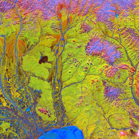 A vibrant satellite image displaying intricate patterns of rivers and water bodies across a landscape dominated by green and red hues. The intricate network of blue streams is interspersed with red-tipped ridges, set against a predominantly green and yellow terrain.