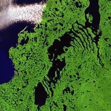 grass satellite illustration