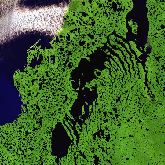 grass satellite illustration in Northwest Territories Canada