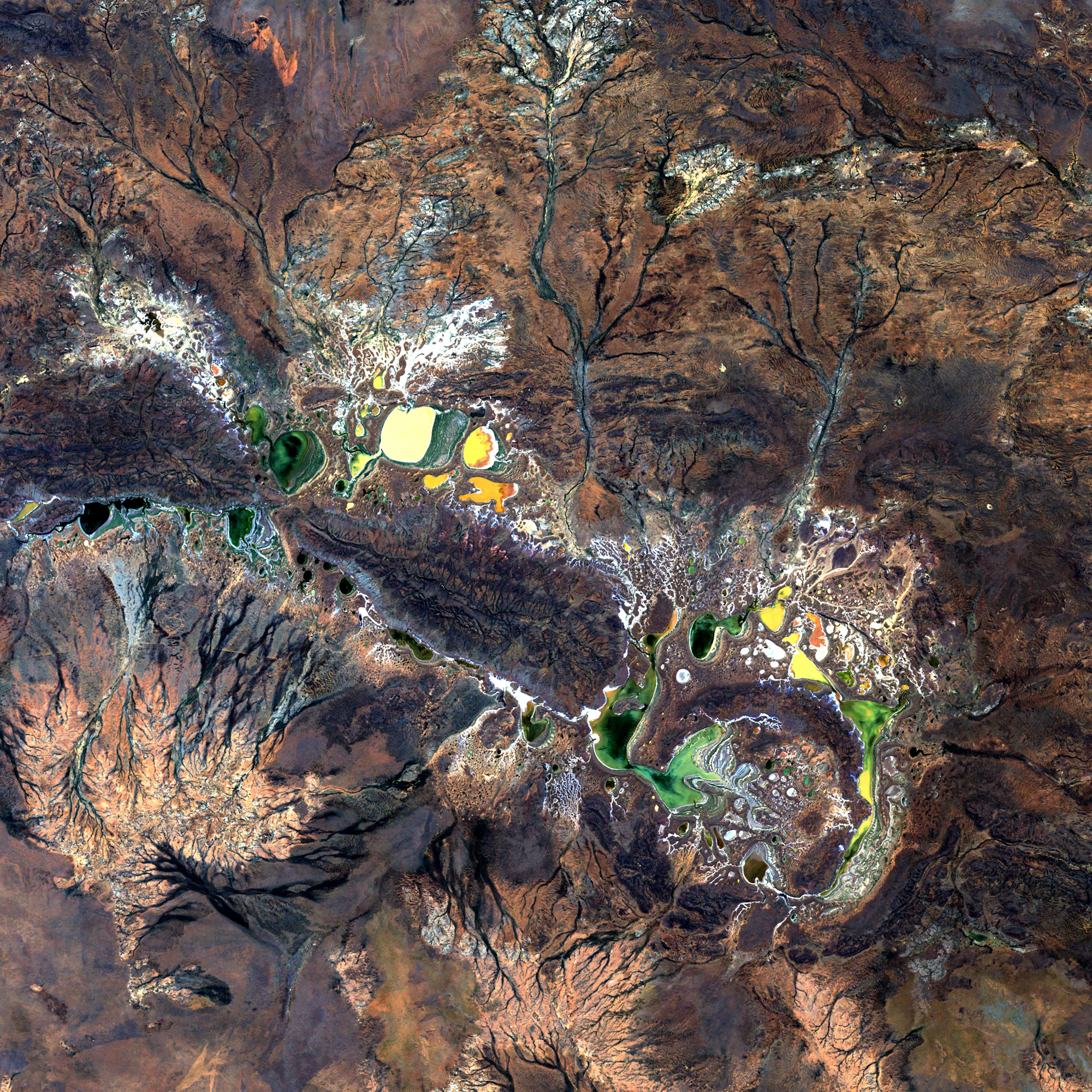 Satellite image of a forested mountain range