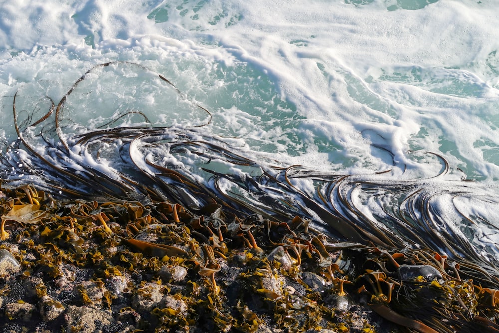 specchio d'acqua che si increspa