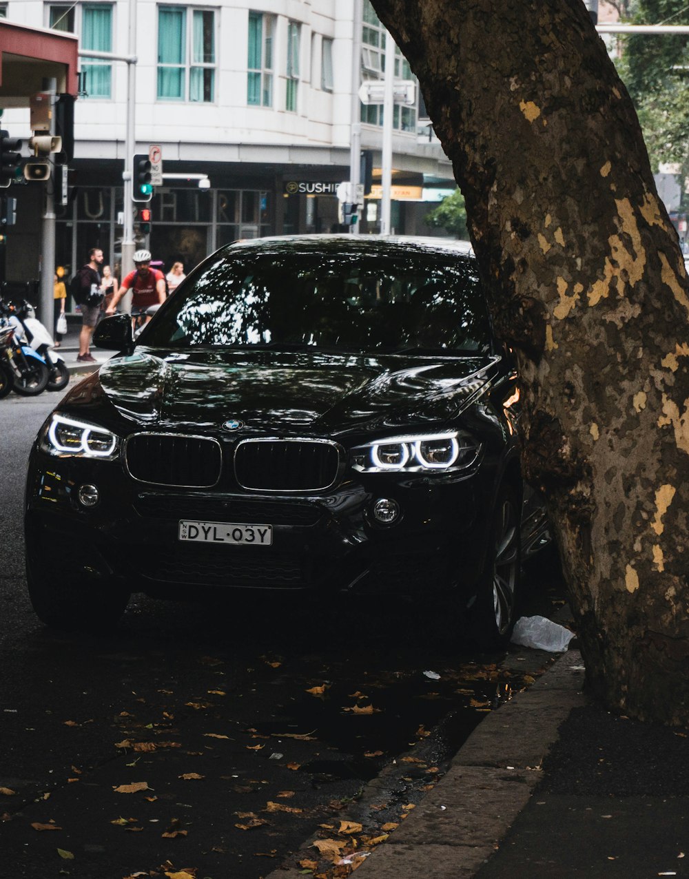 black BMW SUV parked on street near the tree